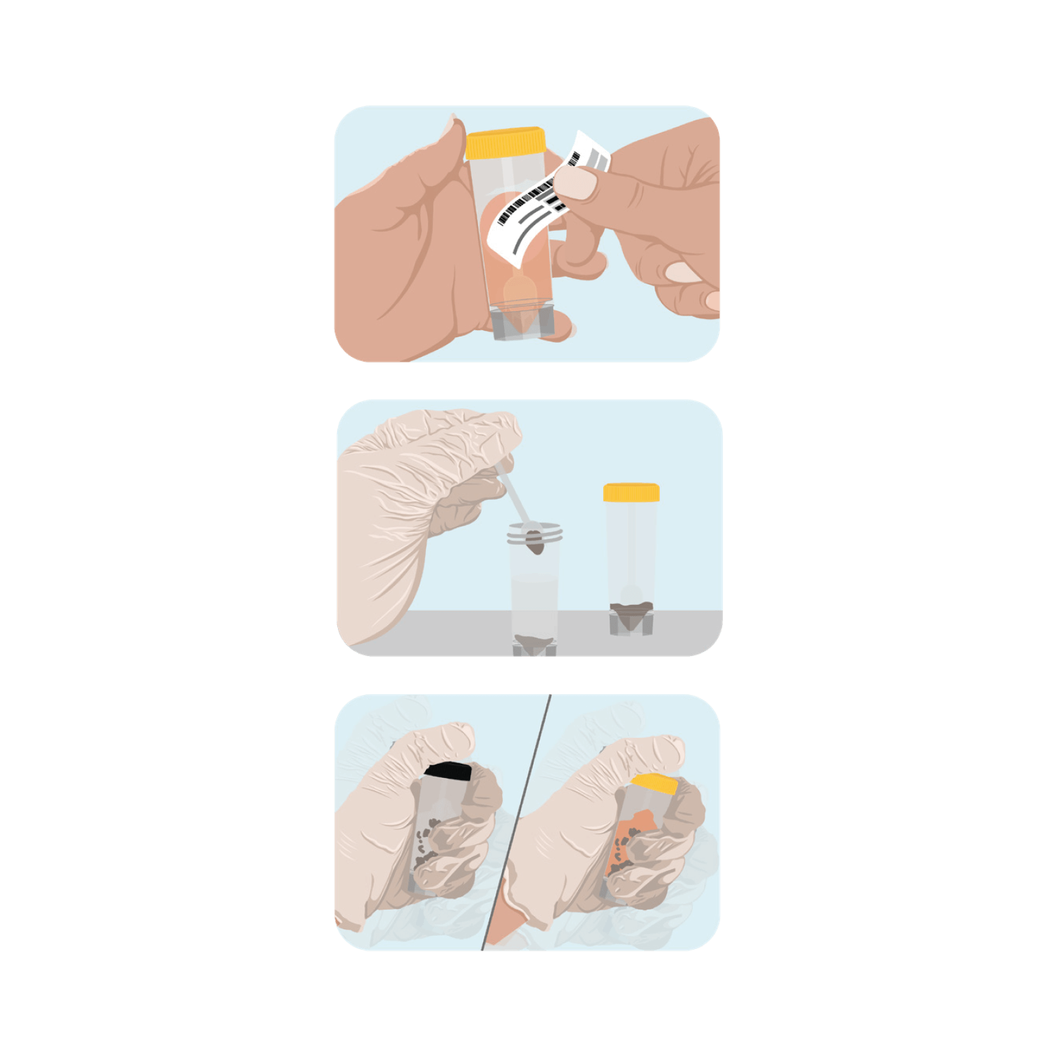 Mold Testing (Mycotoxins)